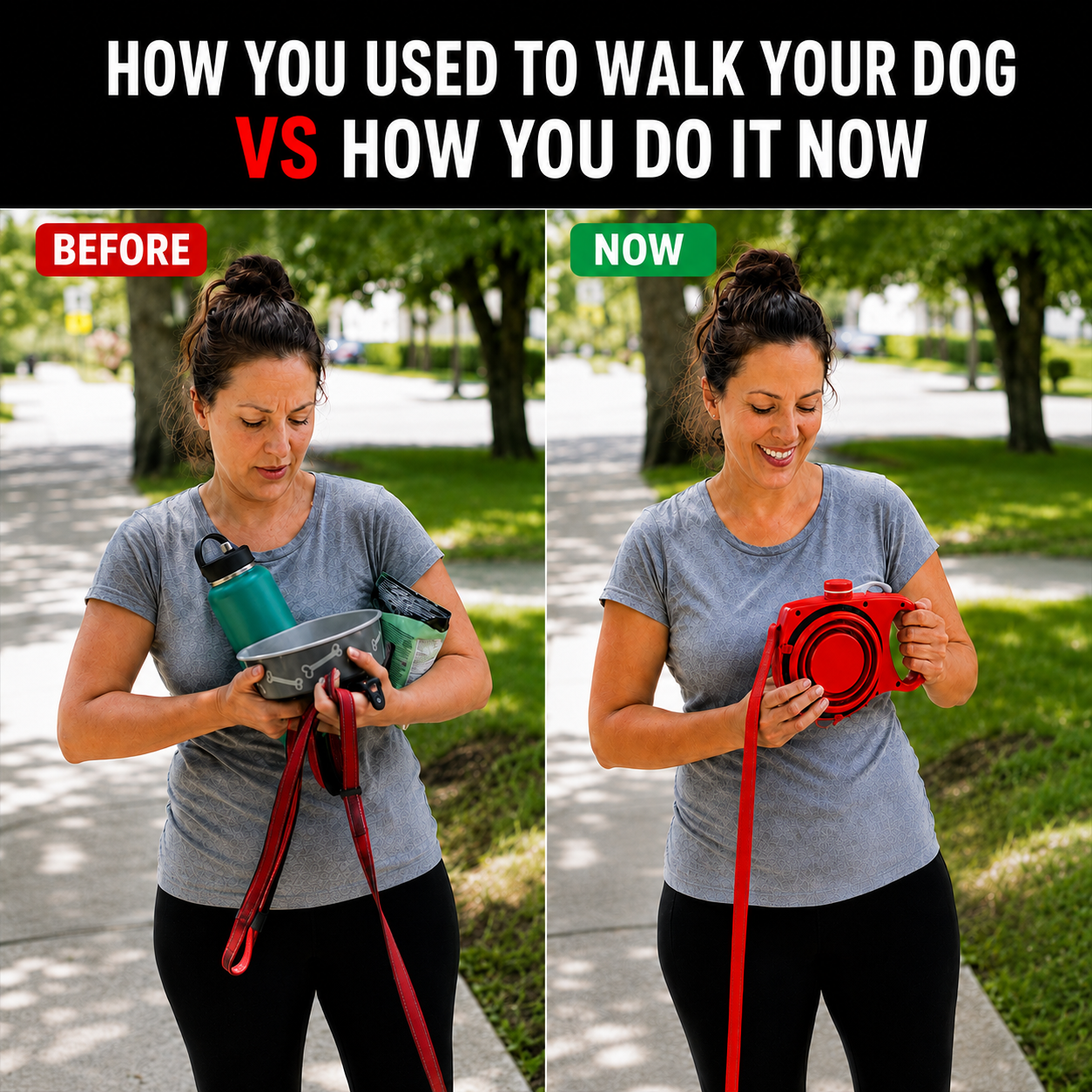 6-in-1 Dog Leash
