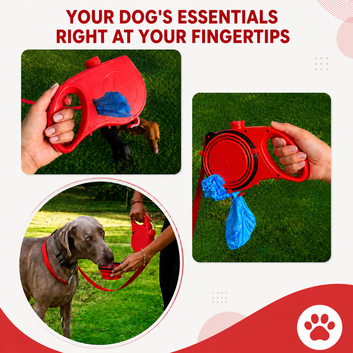 6-in-1 Dog Leash